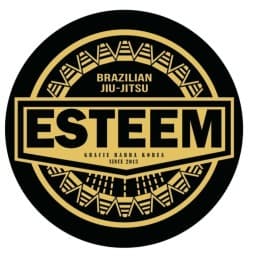 esteem_hyosung logo