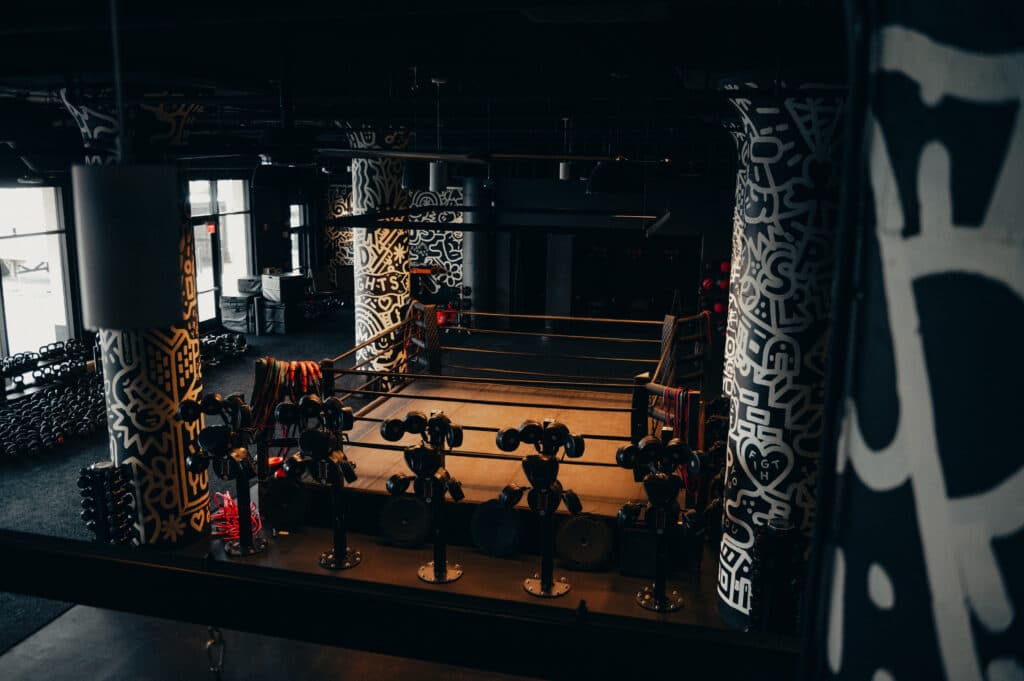 Main image of EverybodyFights