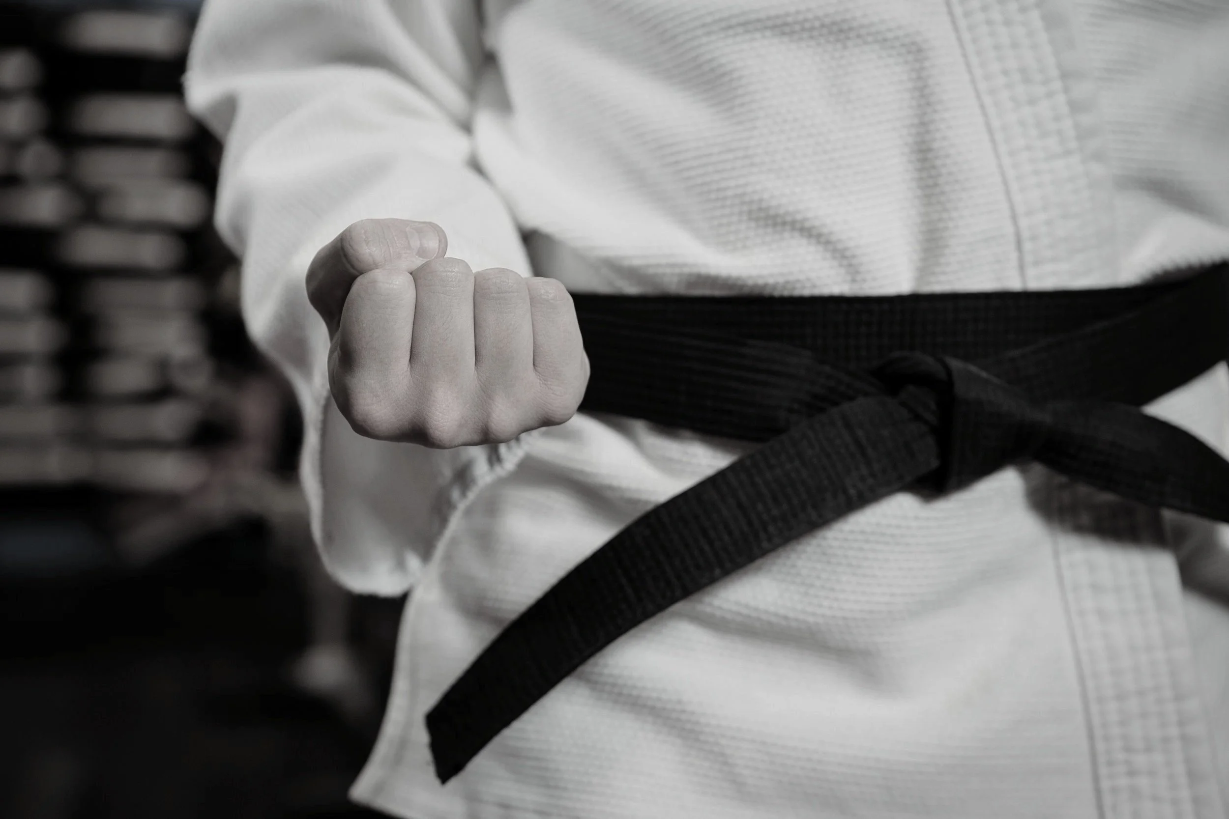 Evolution Academy of Martial Arts logo