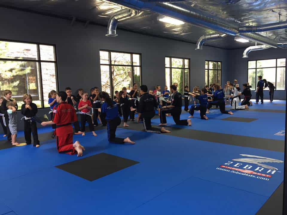 Main image of Evolution Martial Arts Academy