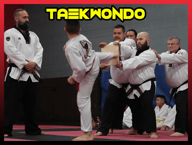 Main image of Evolution Martial Arts of Lakeland Inc