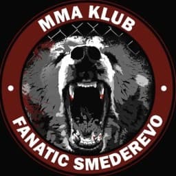 Fanatic SD logo