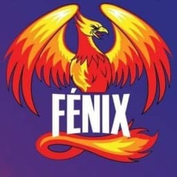 FENIX BJJ TEAM logo