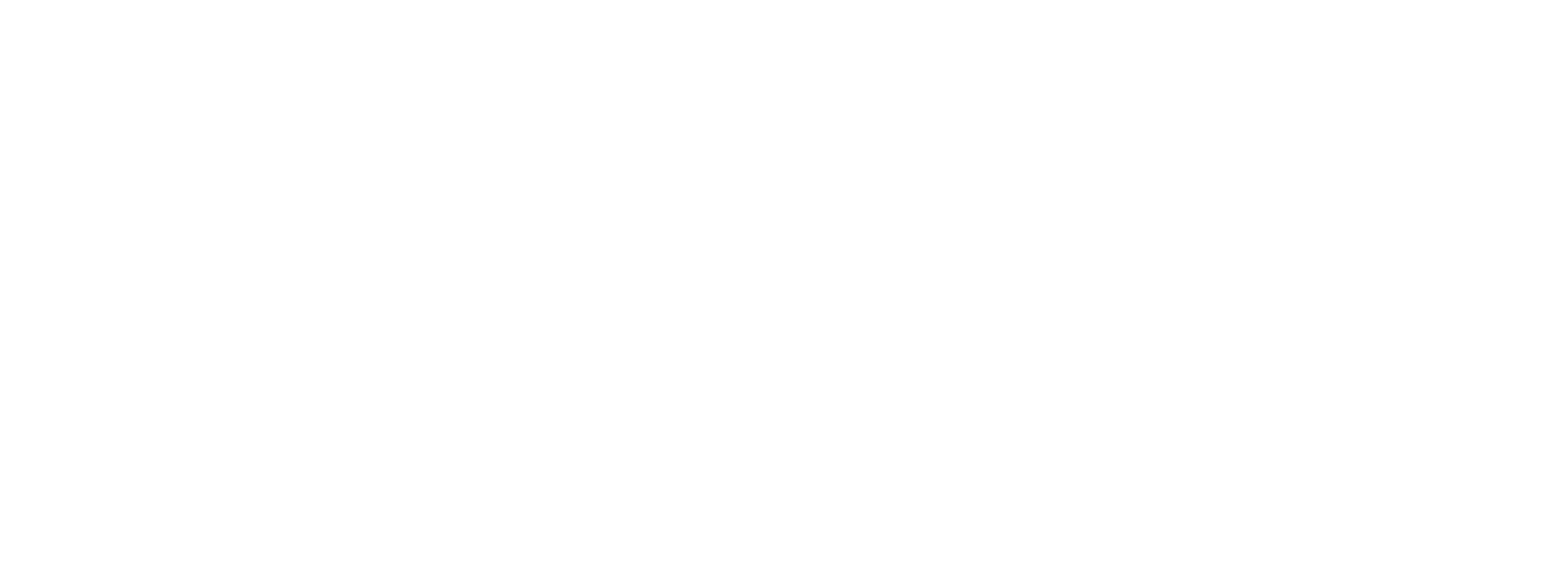 Fitness Society Training Studio logo