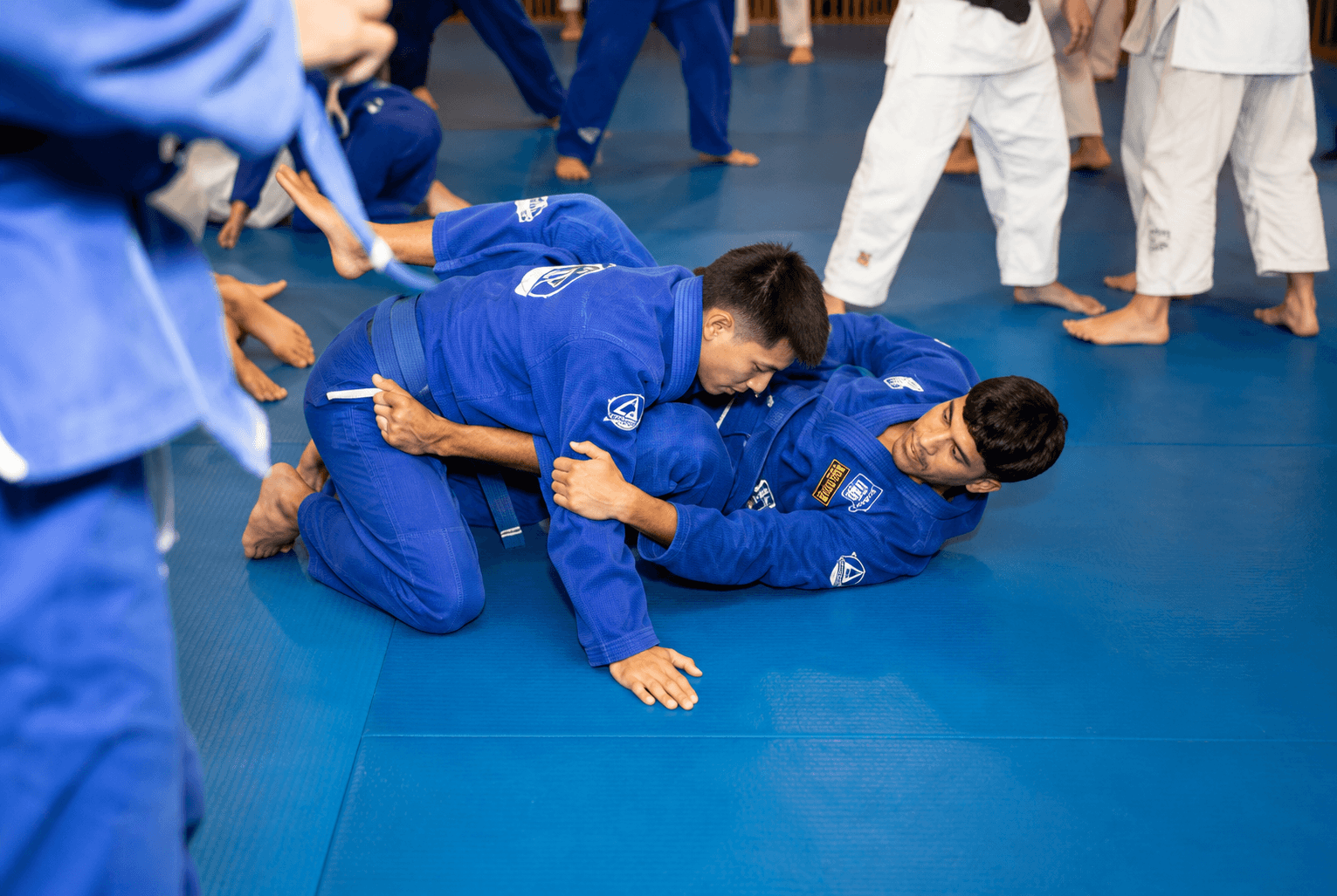 Main image of Fort Lauderdale Jiu Jitsu
