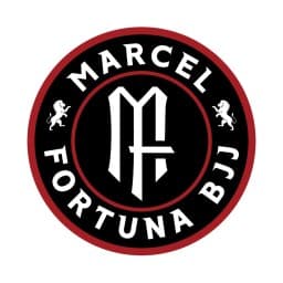 Fortuna BJJ logo