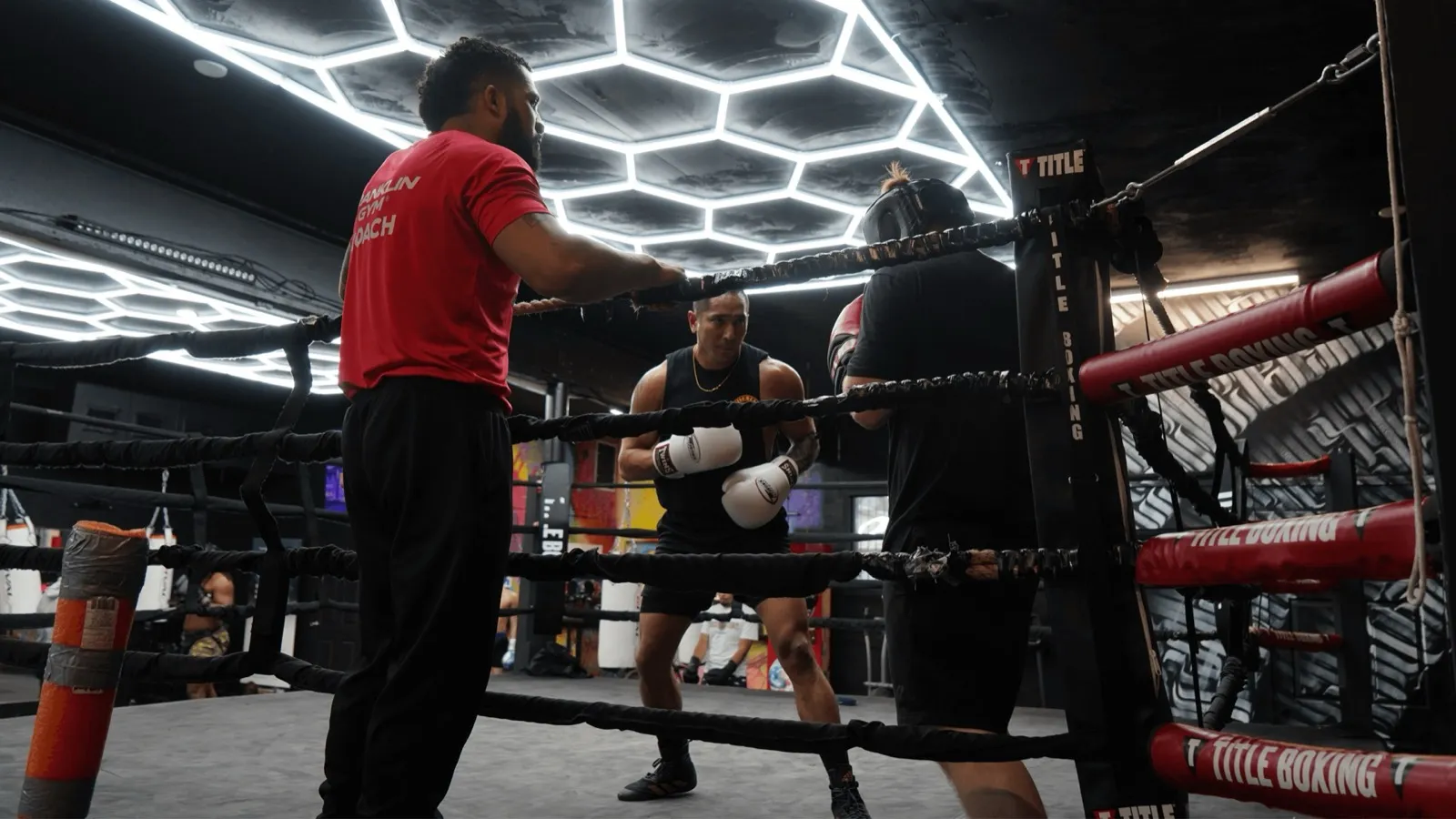 Main image of Franklin Boxing