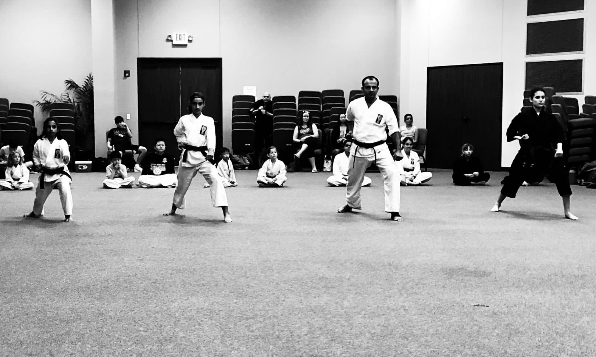 Main image of Fulshear Family Karate