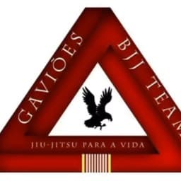 GAVIÕES BJJ TEAM logo