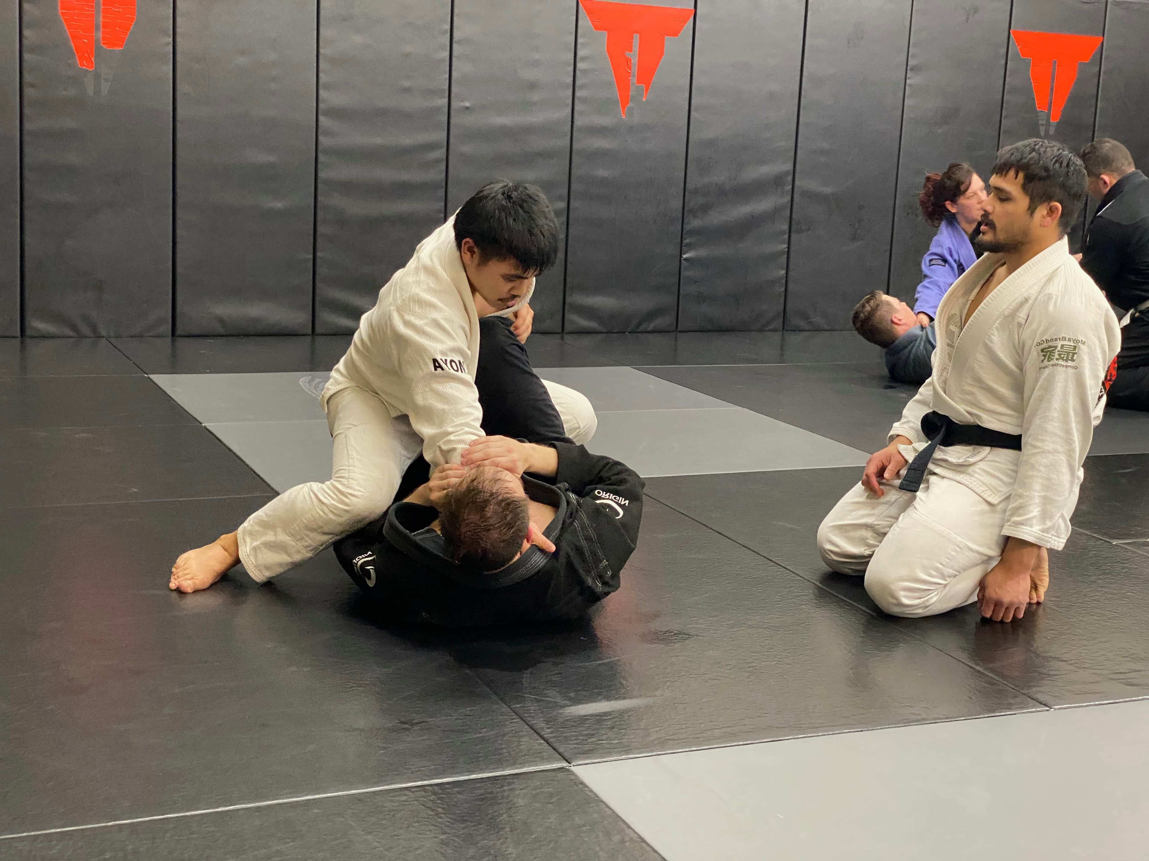 Main image of GHBJJ