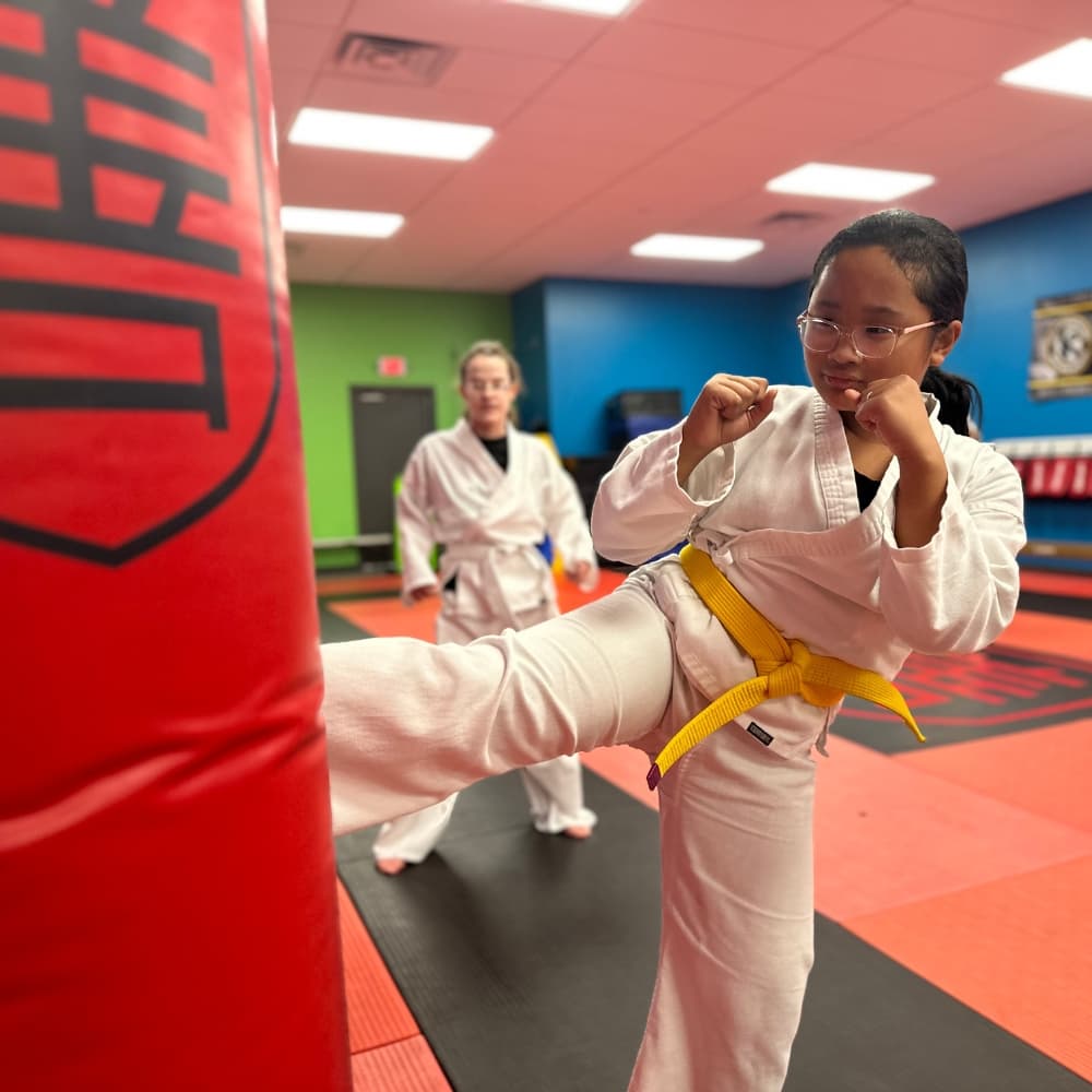 Main image of Good Martial Arts