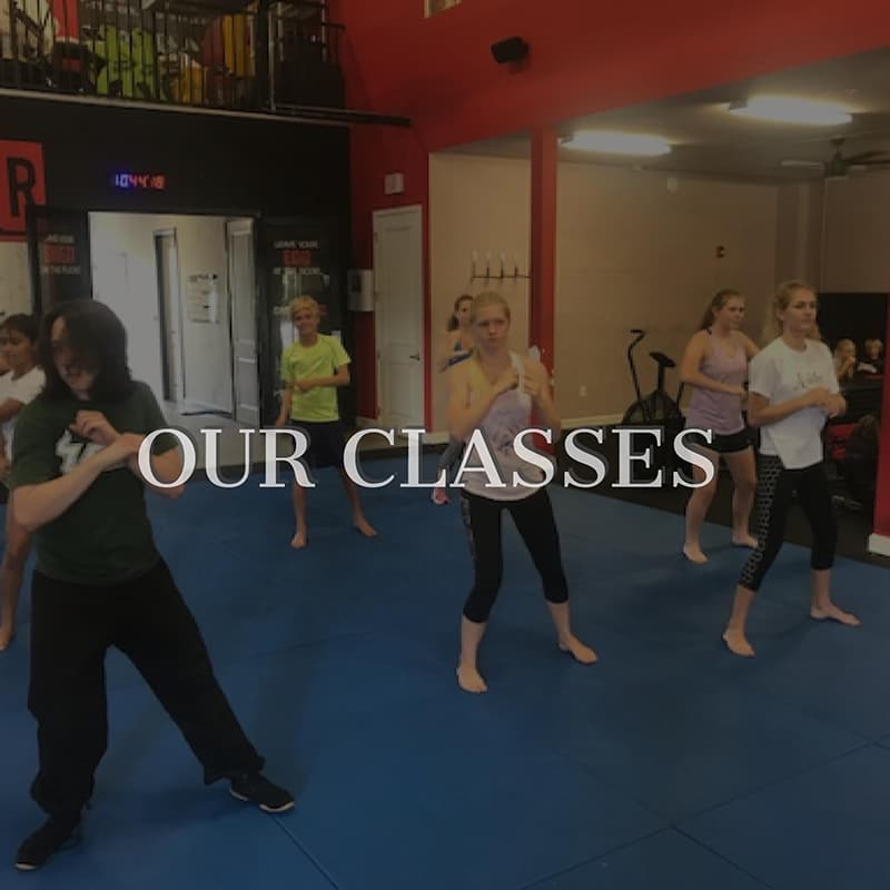 Main image of Goshin JuJitsu of Lakewood Ranch