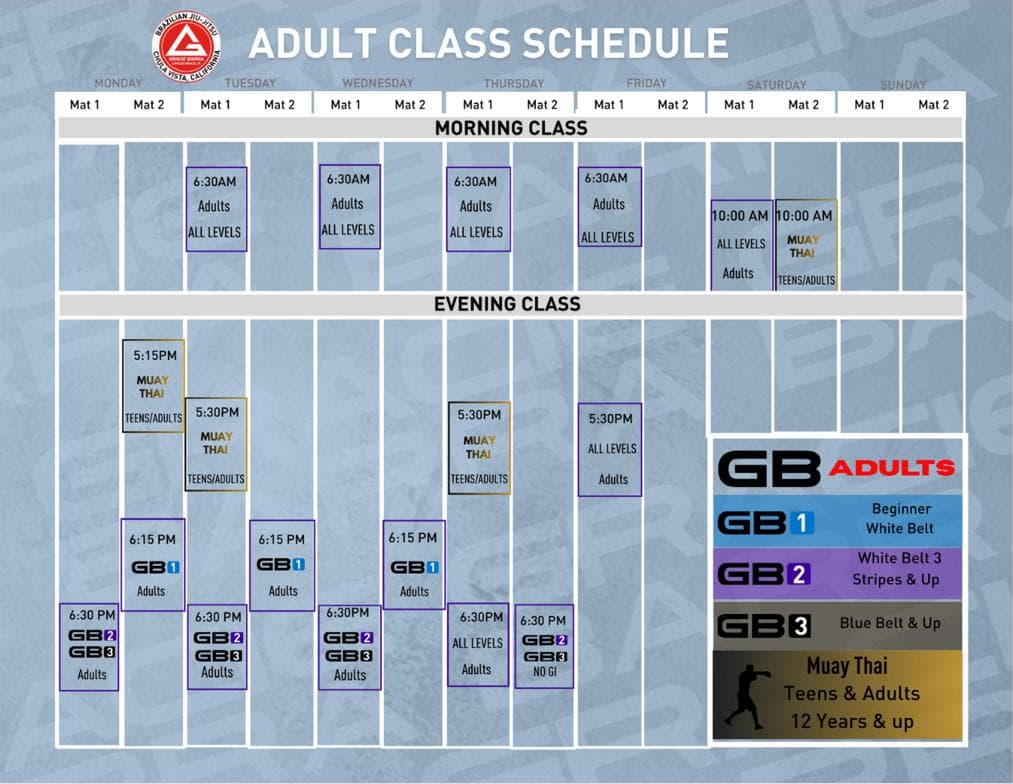 Main image of Gracie Barra Chula Vista