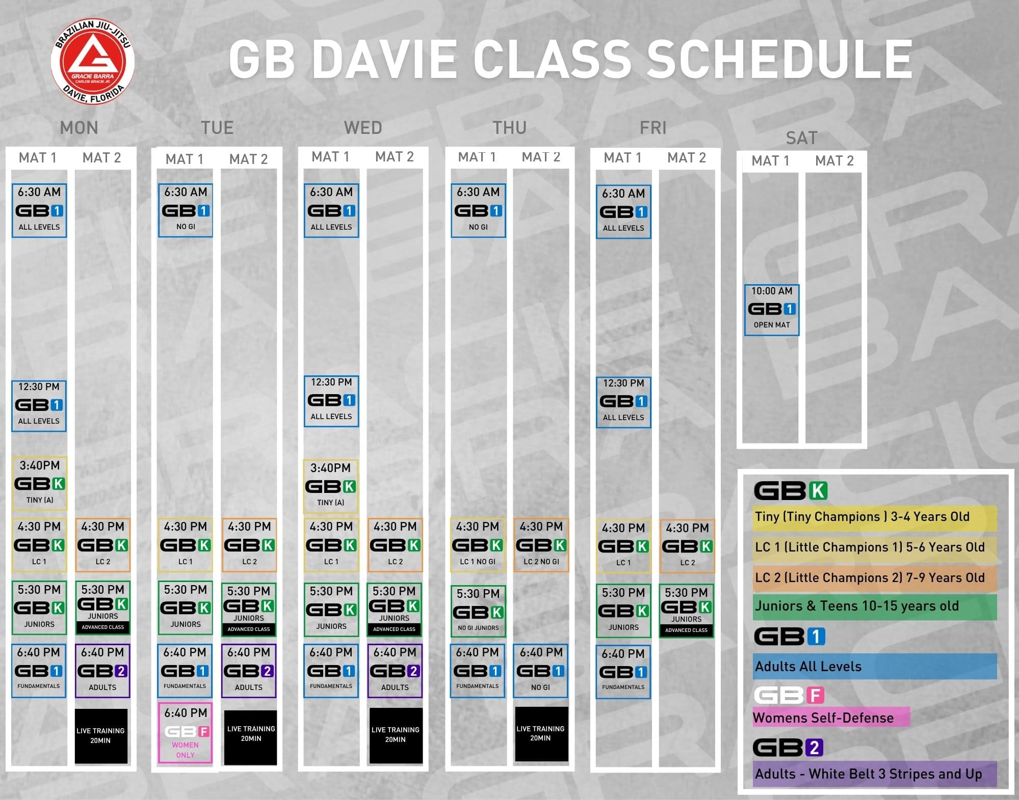 Main image of Gracie Barra Davie