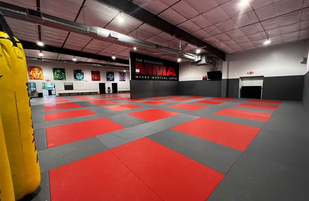 Main image of Gracie Barra The Woodlands