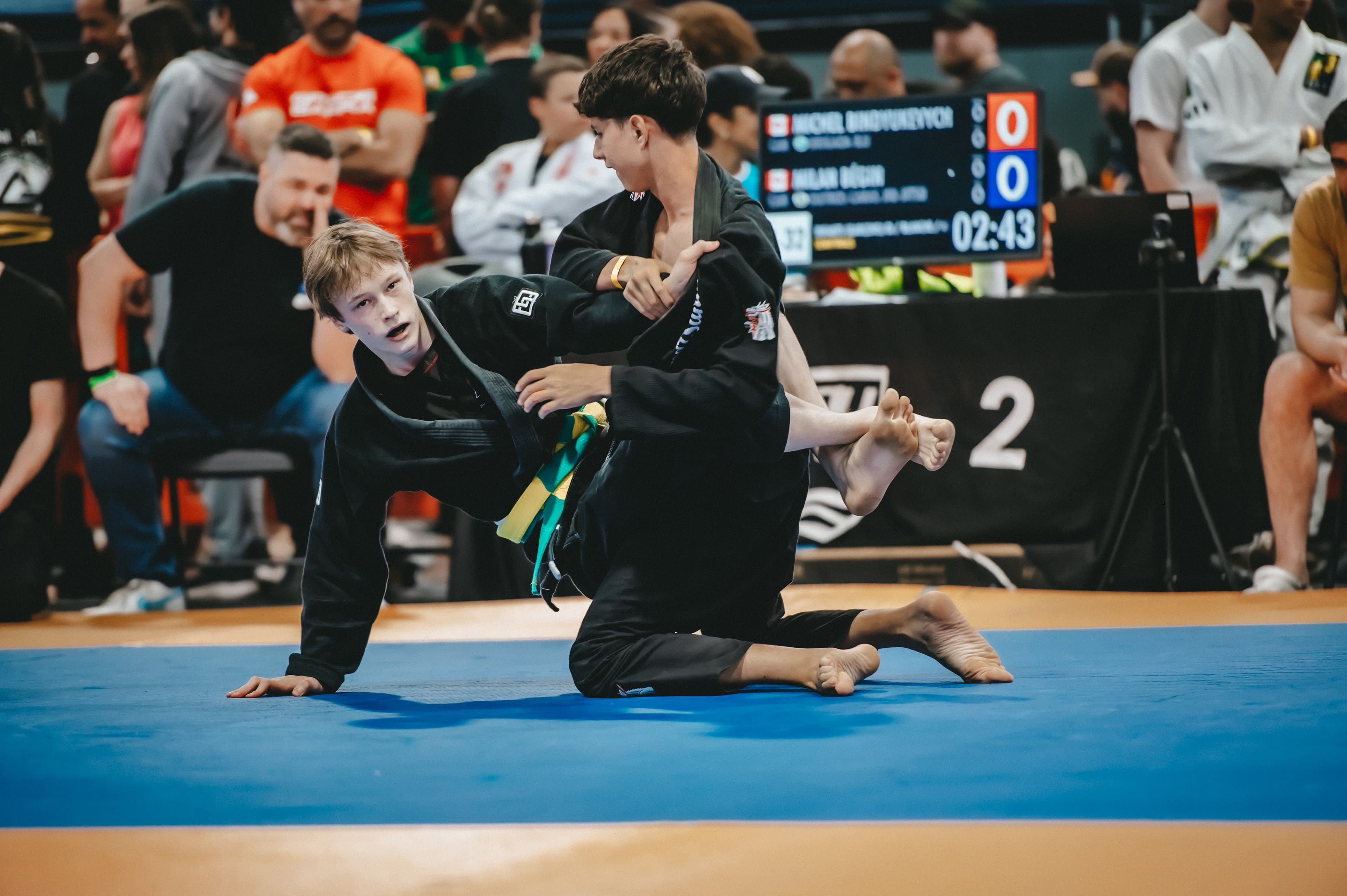 Guara BJJ - Jiu-Jitsu Brésilien Rive-Sud logo