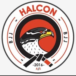 Halcón Bjj Fight Club logo