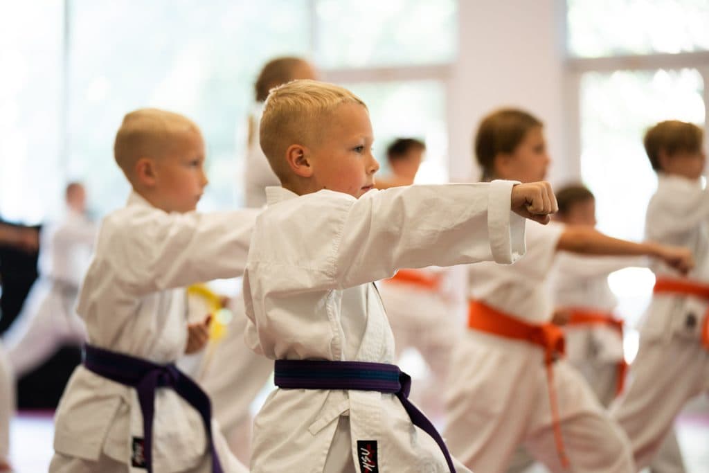 Main image of Haley's Martial Arts Center