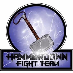 HAMMERDOWN FIGHT TEAM (IBJJFF) logo