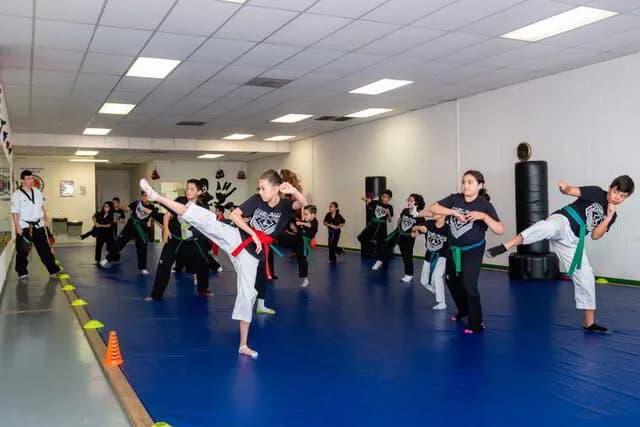 Main image of Han’s Martial Arts