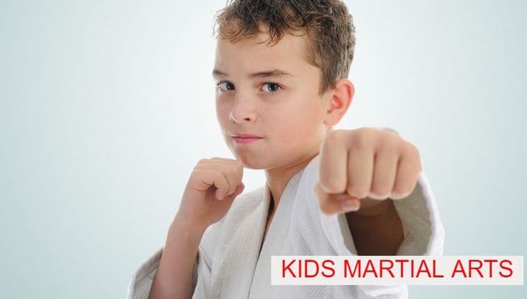 Main image of Hendrix Essential Martial Arts Greensboro