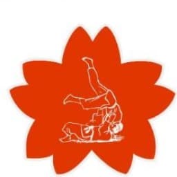 Henkada Judo Club logo