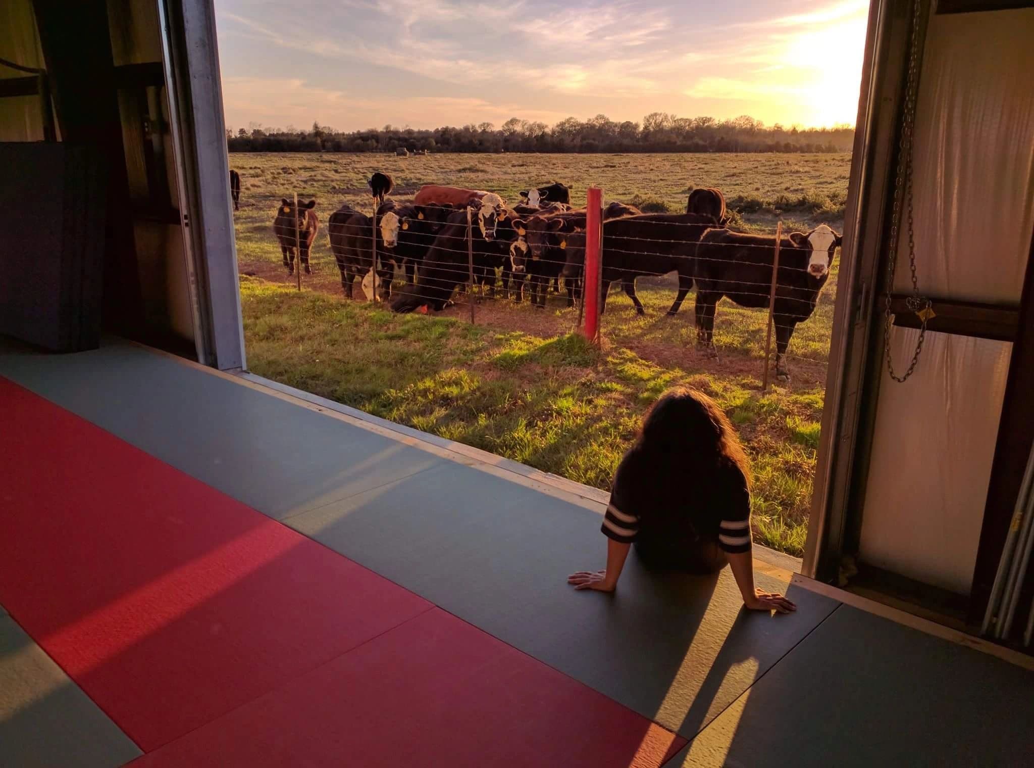Main image of Honor Martial Arts - Houston Brazilian Jiu-Jitsu, Judo, Karate and Yoga.