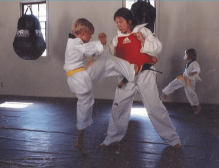 Hope's Tae Kwon Do logo