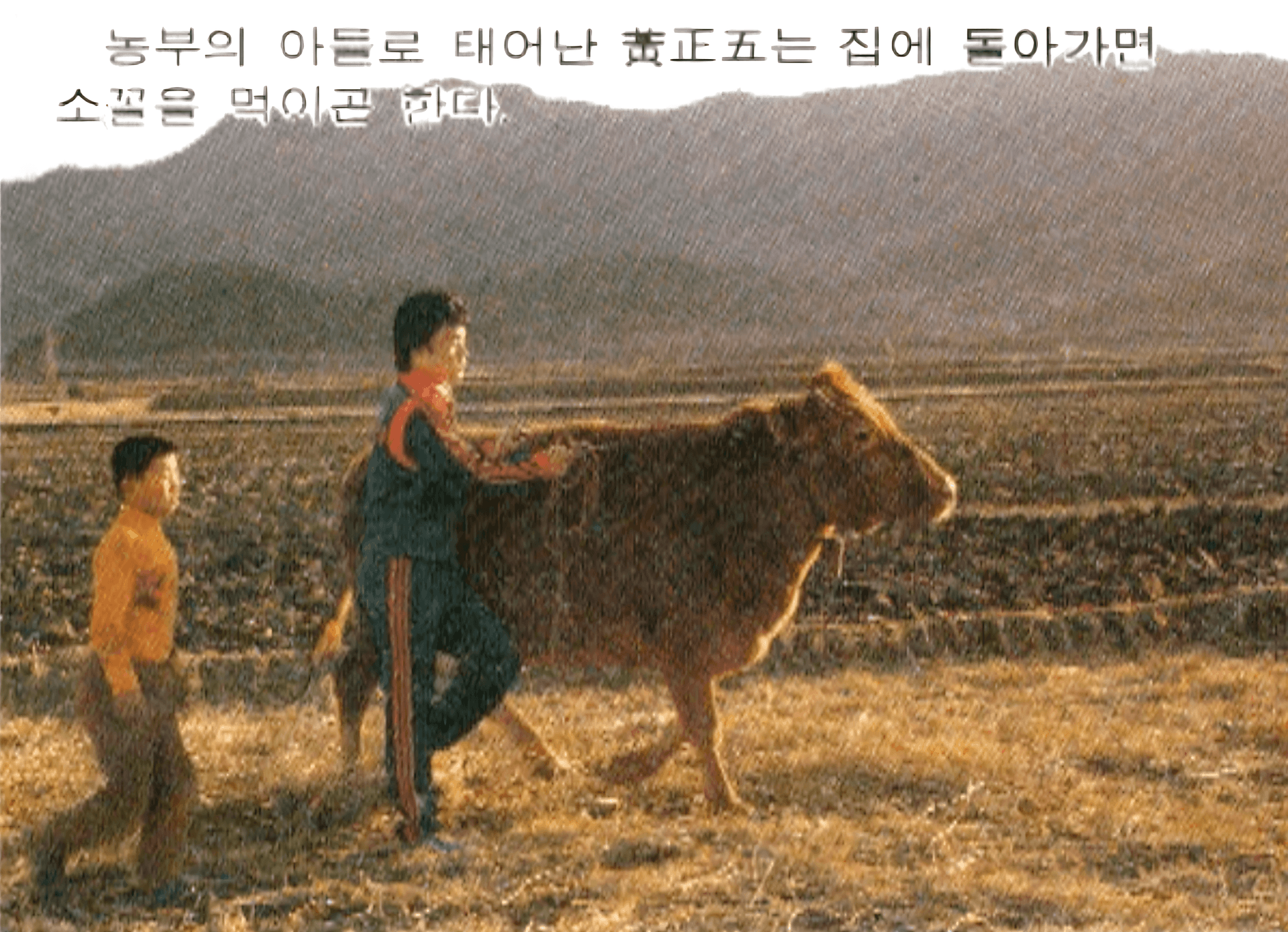 Main image of Hwang's Martial Arts
