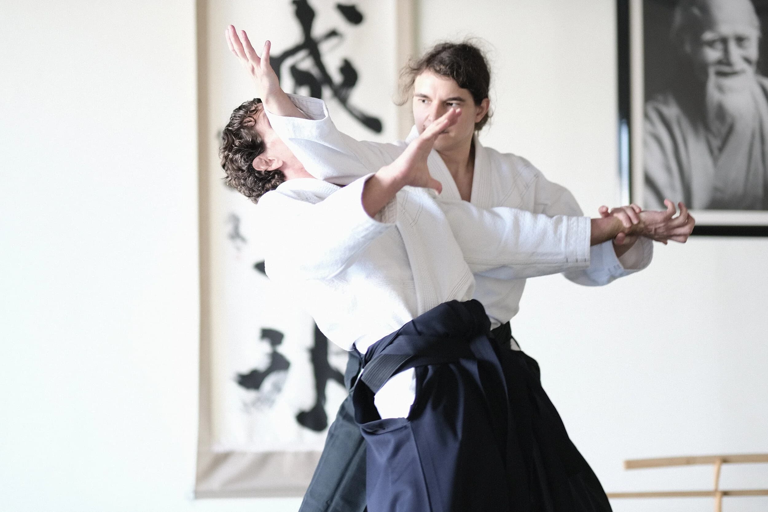 Main image of Ikazuchi Dojo