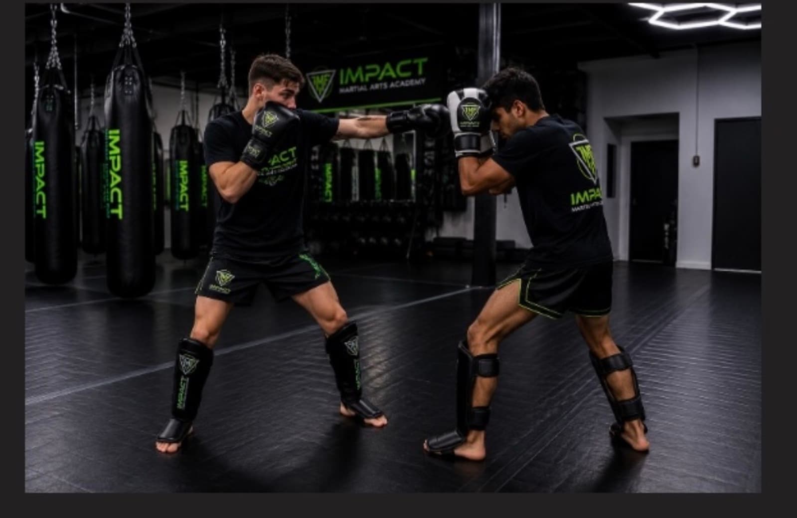 Main image of Impact Martial Arts Academy