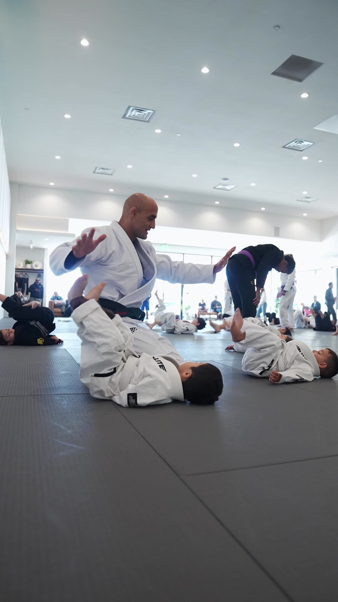Inspirit Jiu Jitsu Academy logo