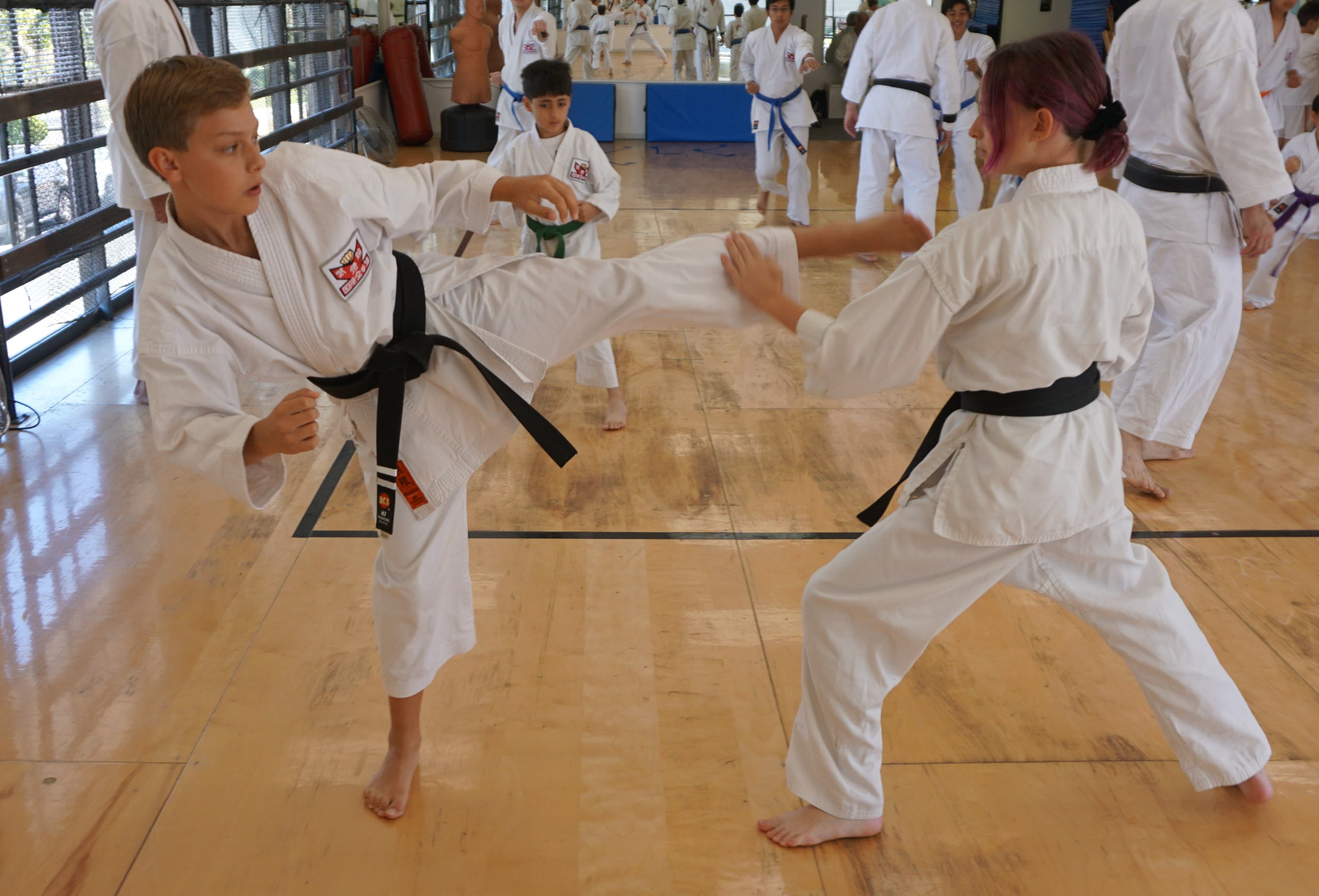 Main image of INTERNATIONAL KARATE ASSOCIATION, INC.