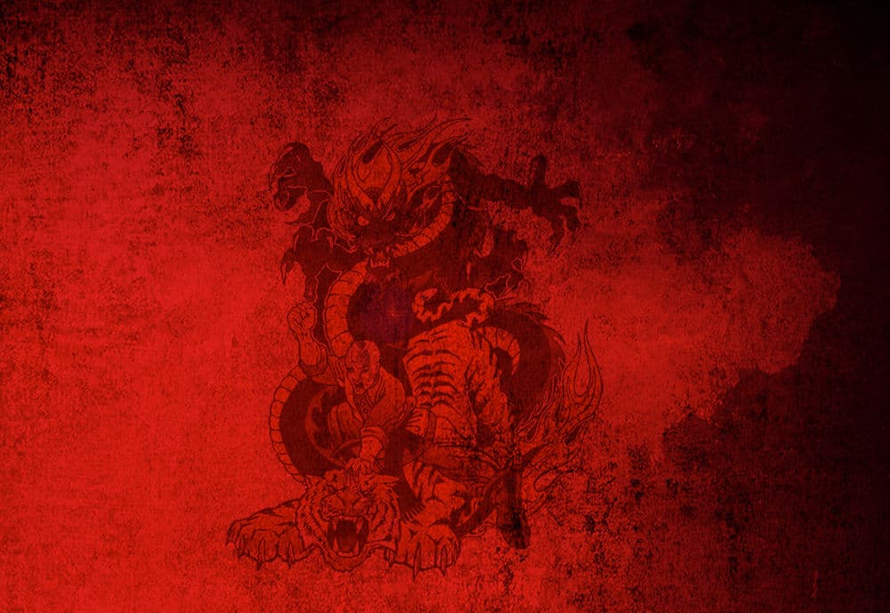 Main image of Iron Dragon Martial Arts Institute
