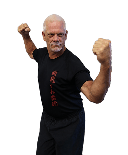 Iron Dragon Martial Arts Institute logo
