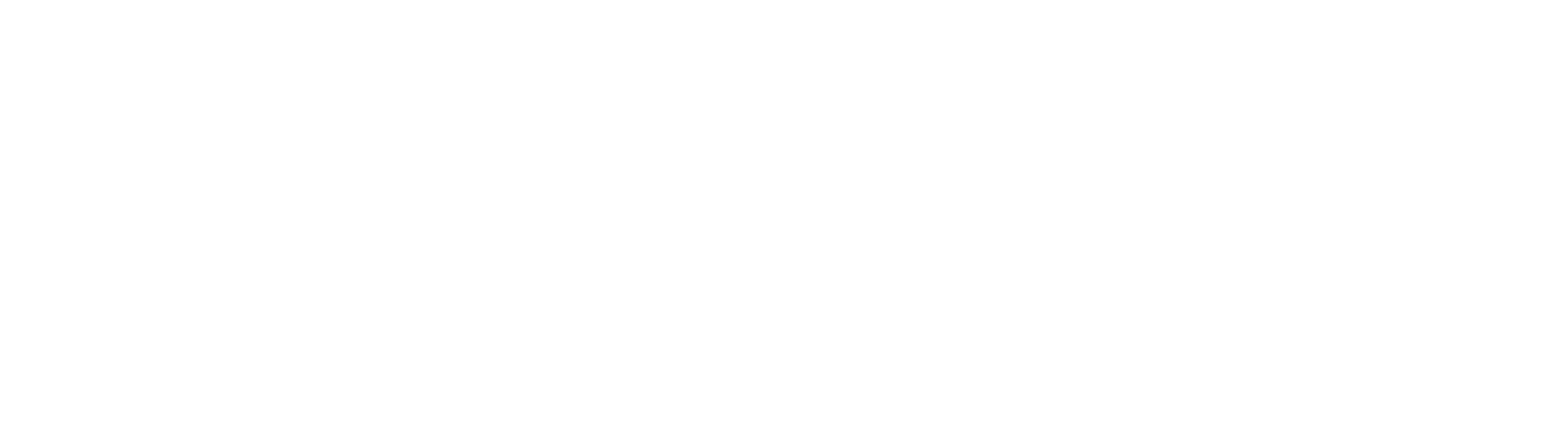 Iron Trinity Jiu Jitsu logo