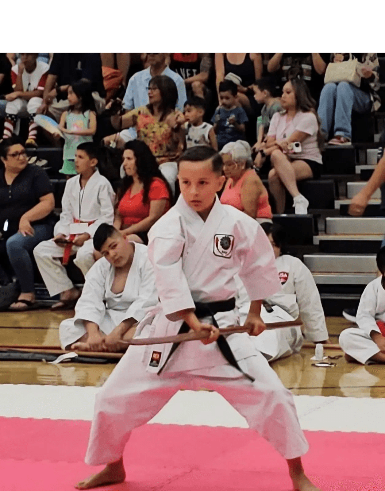 Japan Martial Arts Academy logo