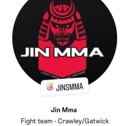 JIN MMA logo