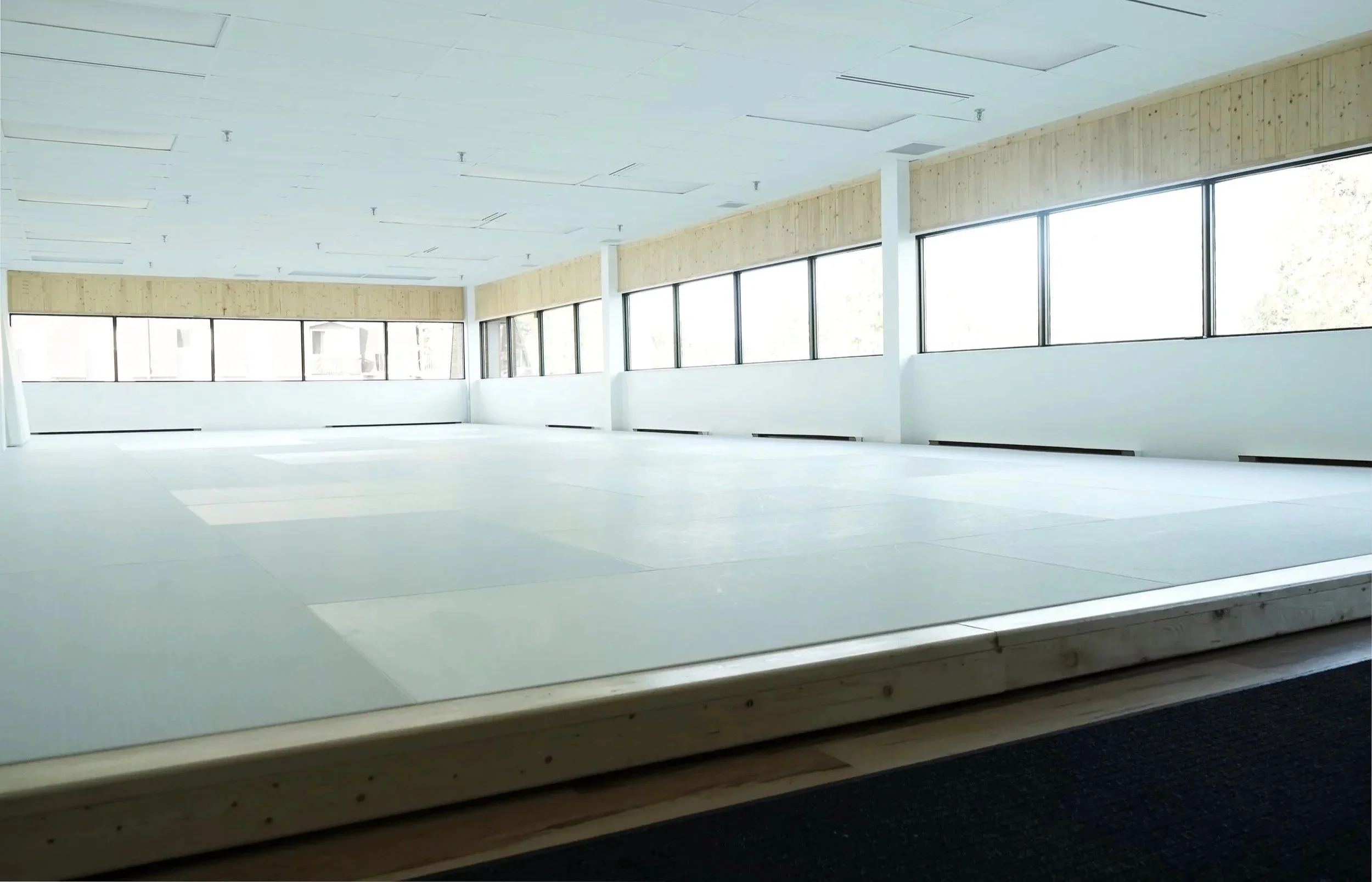 Main image of Judo Samitto