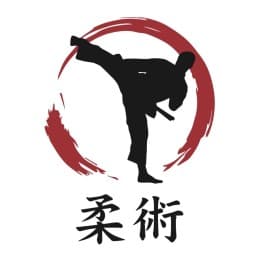 Jujitsu Kaizen San Giovanni logo