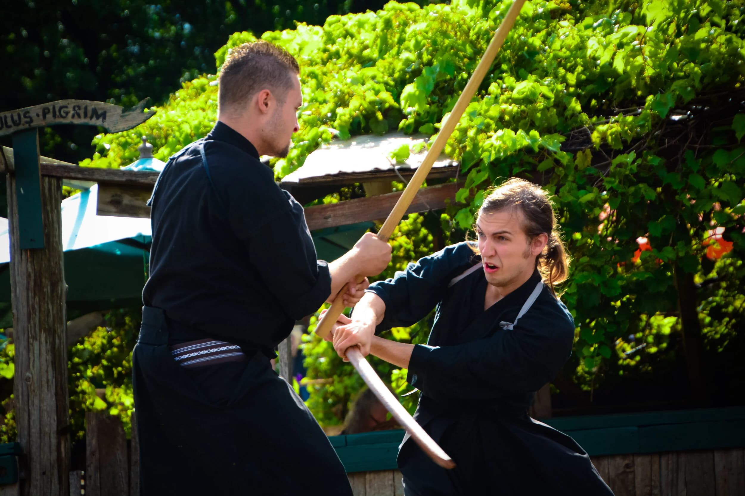Main image of Kaishin Dojo