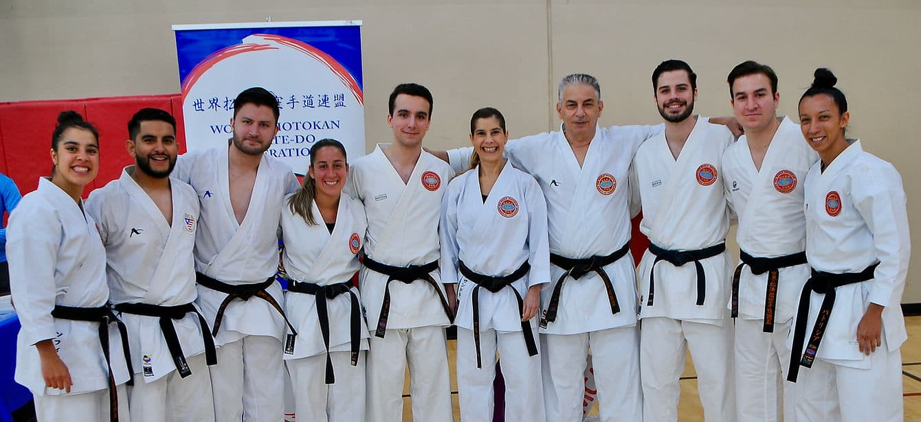 Karate Academy YMCA/WSKF logo