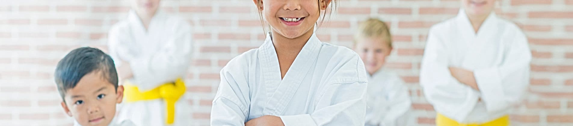 Main image of Karate Kids in America