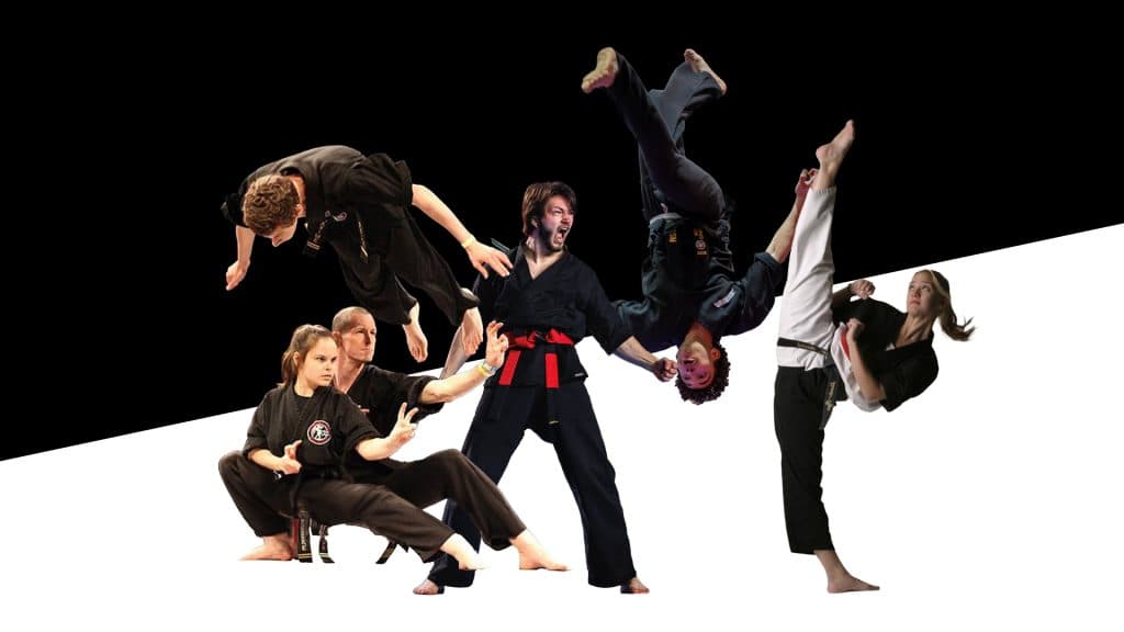 Main image of Karate Sport Action