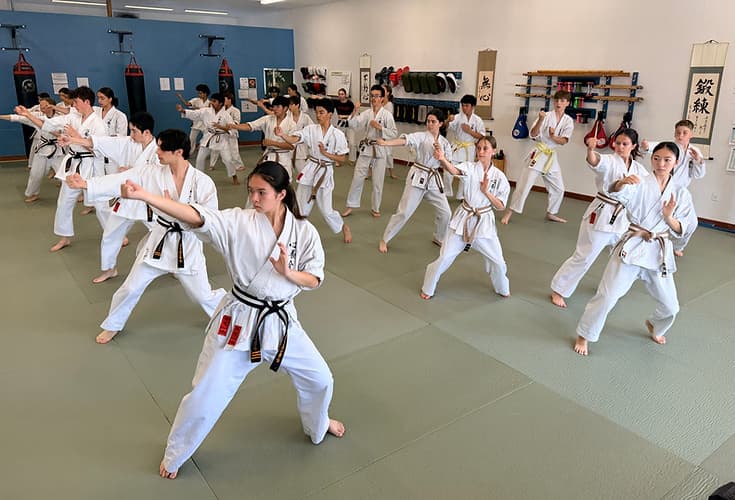 Main image of Karatedo Shinyokai