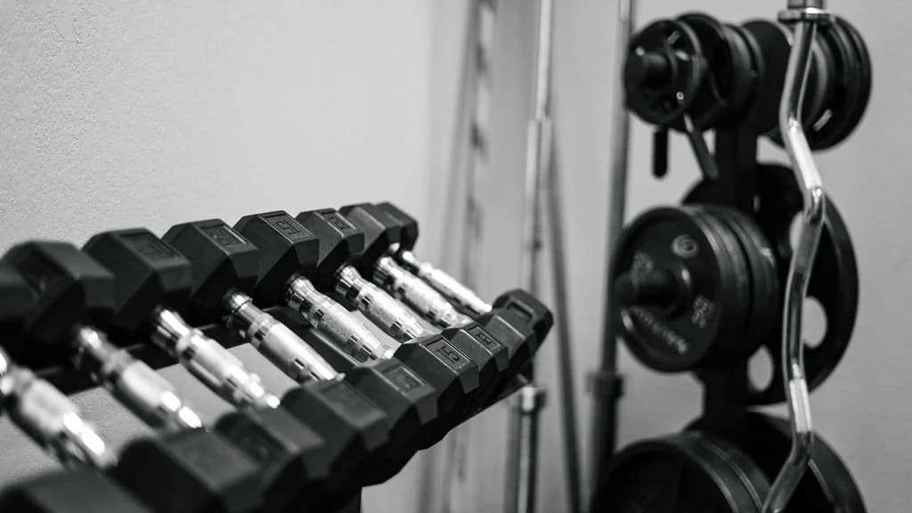 Main image of Kensei Martial Arts & Fitness