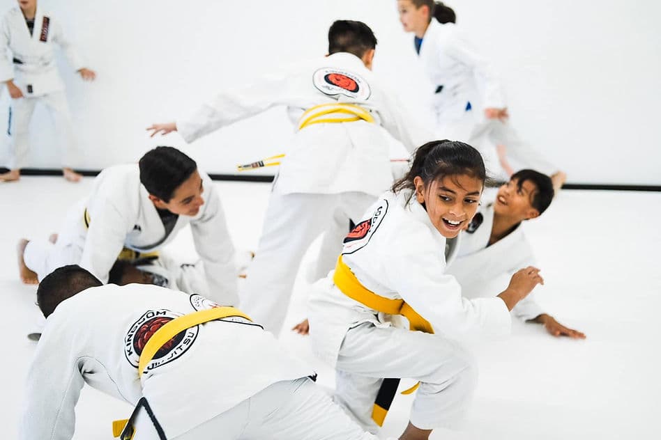 Main image of Kingdom Jiu-Jitsu