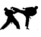 KSMY Martial Arts logo