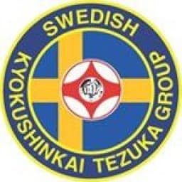 Kyokushinkai Jotso IF logo