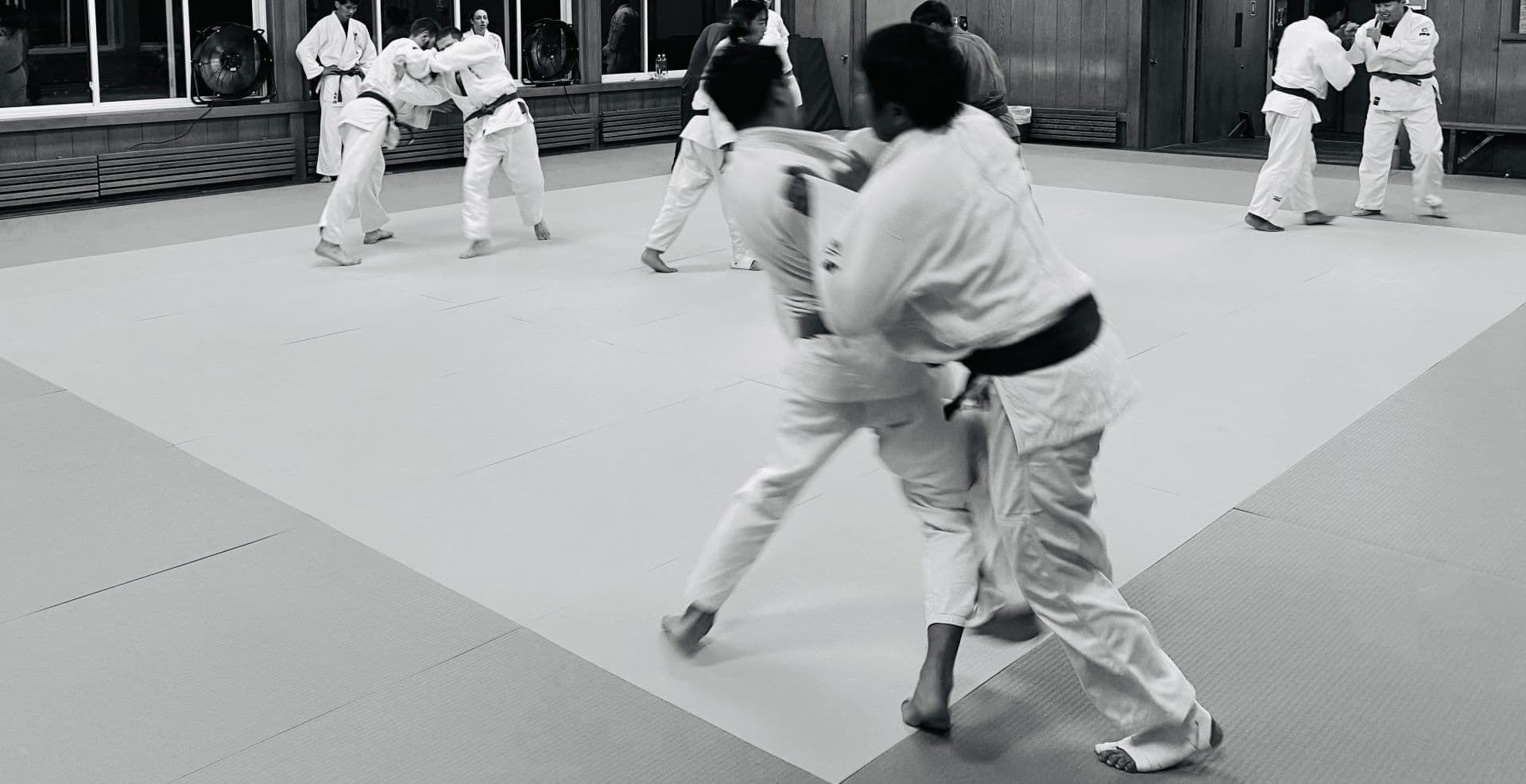 Main image of LA Tenri Judo Dojo
